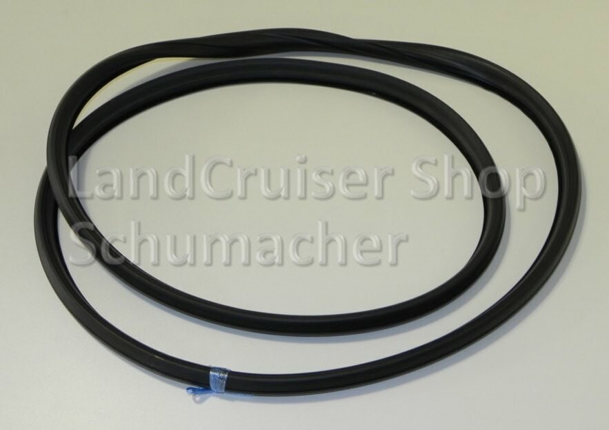 Windschutzscheibendichtung