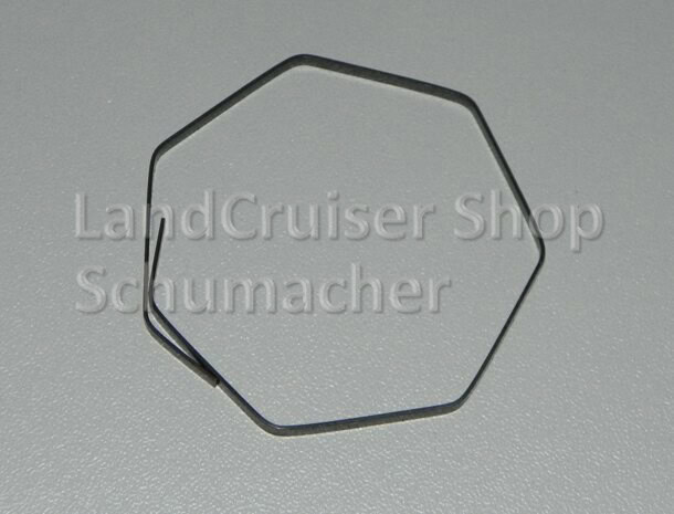 Ring im Abgaskrümmer