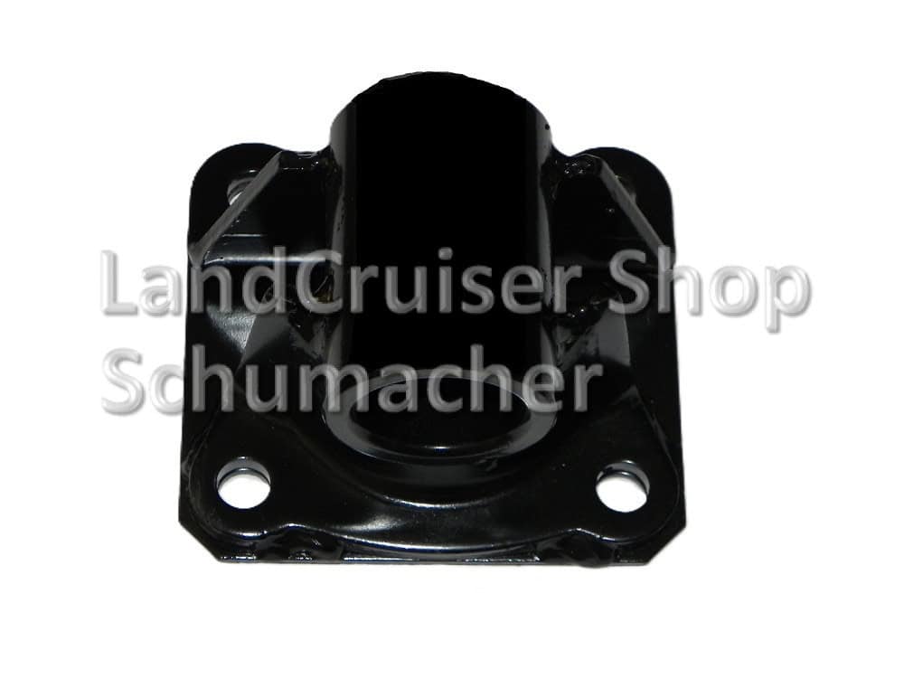 Federaufnahme Hinterachse